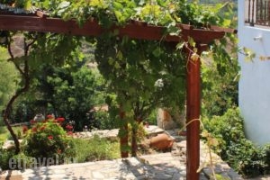 Ikaria Utopia - Cusco Studios_best deals_Hotel_Aegean Islands_Ikaria_Evdilos