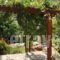 Ikaria Utopia - Cusco Studios_best deals_Hotel_Aegean Islands_Ikaria_Evdilos