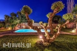 Bozonos Luxury Villa & Spa  
