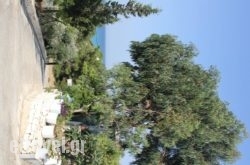 Laskarina Rooms hollidays