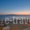Naxian Althea_holidays_in_Hotel_Cyclades Islands_Naxos_Naxos chora
