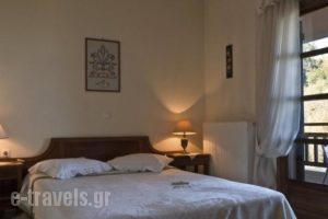 Hotel Niki House_accommodation_in_Hotel_Thessaly_Magnesia_Tsagarada