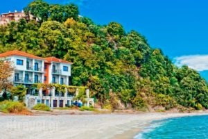 Hotel Manthos Blue_accommodation_in_Hotel_Thessaly_Magnesia_Zagora