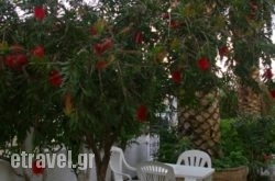 Kapetanios Studios hollidays