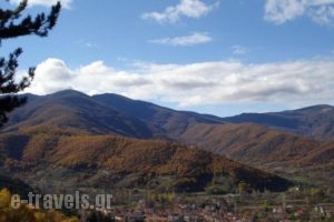 Villa Kastanodasos_lowest prices_in_Villa_Macedonia_Kozani_Velvedos