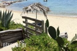 Agrelia House hollidays Agrelia House hollidays