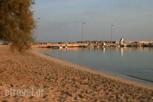 Filoxenes Katoikies_best deals_Hotel_Piraeus Islands - Trizonia_Kithira_Diakofti