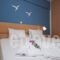 Thalassenia Studios_best deals_Hotel_Macedonia_Halkidiki_Haniotis - Chaniotis