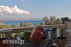 Kalliroe Apartments hollidays Kalliroe Apartments hollidays