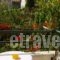 Pansion Chrisa_best deals_Hotel_Sporades Islands_Skiathos_Skiathoshora