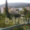 Pansion Chrisa_lowest prices_in_Hotel_Sporades Islands_Skiathos_Skiathoshora