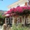 Panorama Apartments_accommodation_in_Apartment_Ionian Islands_Zakinthos_Zakinthos Rest Areas