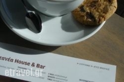 Kastanea hollidays Kastanea hollidays