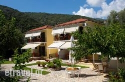 Natasa Studios hollidays