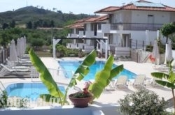 Ampelia Studios hollidays