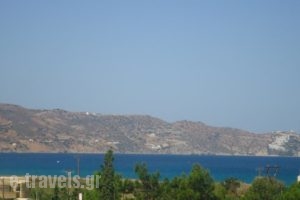 Saloustros Apartments_holidays_in_Apartment_Crete_Heraklion_Ammoudara