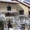 Dryas Guesthouse_accommodation_in_Hotel_Central Greece_Fokida_Polidrosos