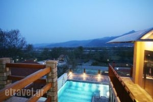 Hotel Athina_lowest prices_in_Hotel_Macedonia_Pella_Aridea