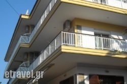 Iris Hotel hollidays Iris Hotel hollidays