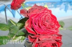 Creta Sun Hotel Studios hollidays