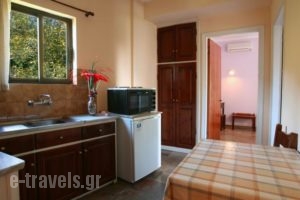 Alexis Apartments_lowest prices_in_Apartment_Ionian Islands_Corfu_Corfu Rest Areas
