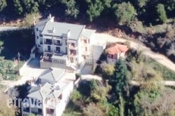 Amadriades hollidays