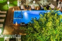 Marika's Aparts & Studios hollidays