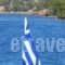 Blue Beach_best prices_in_Hotel_Piraeus islands - Trizonia_Spetses_Spetses Chora