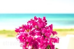 Bouganvillia Homes hollidays Bouganvillia Homes hollidays