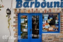 Barbouni Hotel & Studios hollidays Barbouni Hotel & Studios hollidays