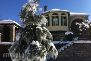 Timfea Chalet_travel_packages_in_Epirus_Ioannina_Fraggades