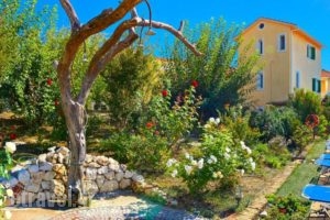 Alkyon Apartments & Villas Hotel_holidays_in_Villa_Ionian Islands_Lefkada_Lefkada Rest Areas