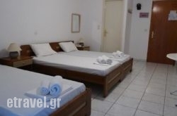 Vergina hollidays Vergina hollidays