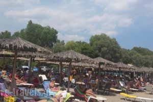 Argolic Strand Camping_lowest prices_in_Hotel_Peloponesse_Arcadia_Astros