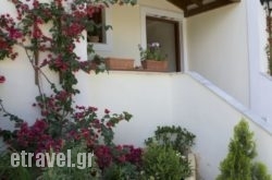 Apanemi Studios hollidays Apanemi Studios hollidays