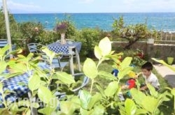 Akrogiali Hotel hollidays