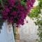 Studio Spartochori_travel_packages_in_Ionian Islands_Ithaki_Ithaki Chora