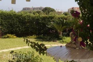 Eleni Apartments_best deals_Apartment_Dodekanessos Islands_Rhodes_Lindos