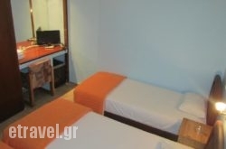 Hotel Rex hollidays Hotel Rex hollidays