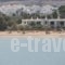 Anemones Studios_lowest prices_in_Hotel_Cyclades Islands_Paros_Paros Chora