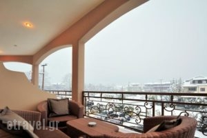 Eliton Hotel & Spa_lowest prices_in_Hotel_Macedonia_Pella_Aridea