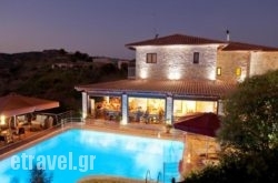 Bacchus hollidays Bacchus hollidays