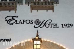 Elafos Hotel hollidays Elafos Hotel hollidays