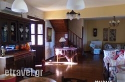 Alegria Villas Complex hollidays Alegria Villas Complex hollidays