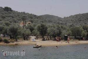 Gera's Olive Grove - Elaionas tis Geras_best deals_Hotel_Aegean Islands_Lesvos_Mytilene