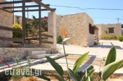 Gavdos Princess hollidays