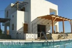 Saint Basil Olive Grove hollidays