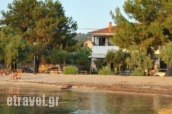 Zouzoula House hollidays Zouzoula House hollidays