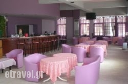 Ammes Hotel hollidays Ammes Hotel hollidays