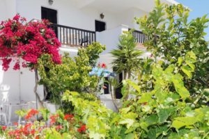 Alex_accommodation_in_Hotel_Cyclades Islands_Tinos_Tinosora